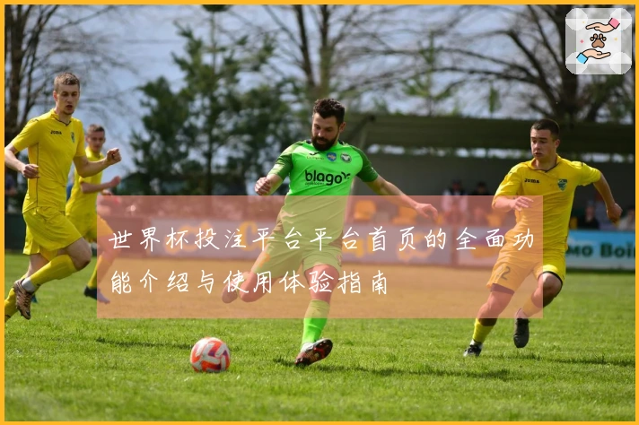 世界杯投注平台平台首页的全面功能介绍与使用体验指南