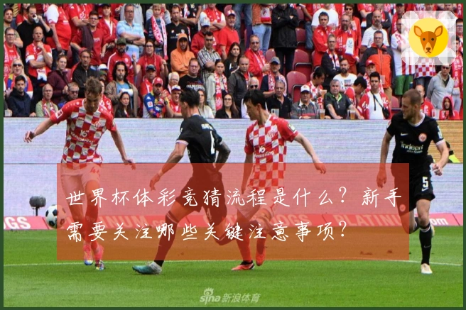 世界杯体彩竞猜流程是什么?新手需要关注哪些关键注意事项?