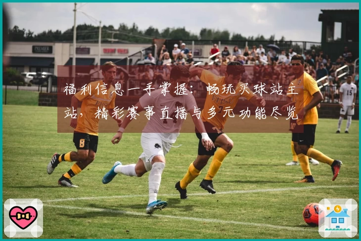 福利信息一手掌握：畅玩买球站主站，精彩赛事直播与多元功能尽览
