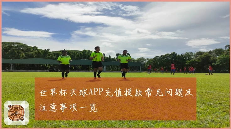 世界杯买球APP充值提款常见问题及注意事项一览