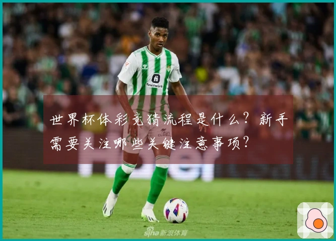 世界杯体彩竞猜流程是什么？新手需要关注哪些关键注意事项？