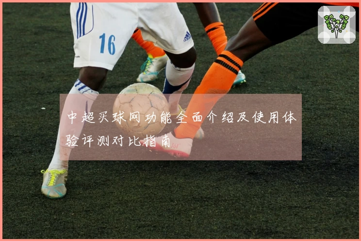 中超买球网功能全面介绍及使用体验评测对比指南