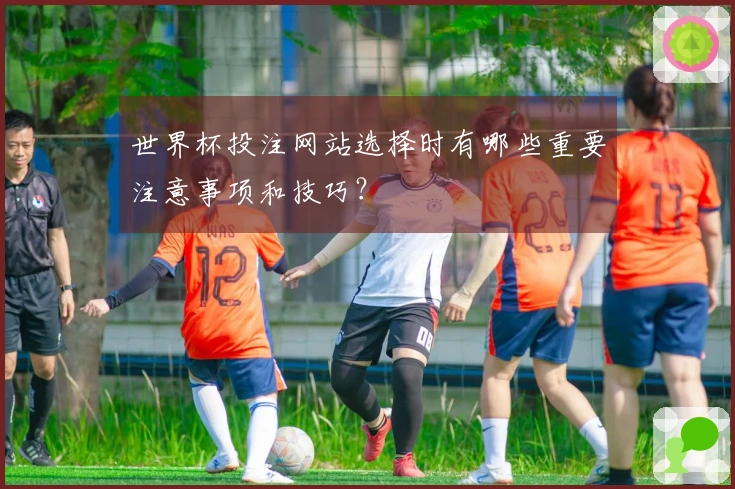 世界杯投注网站选择时有哪些重要注意事项和技巧？