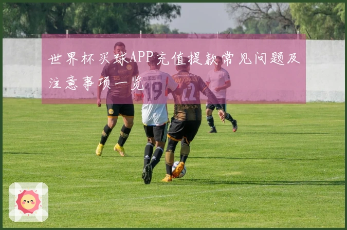 世界杯买球APP充值提款常见问题及注意事项一览