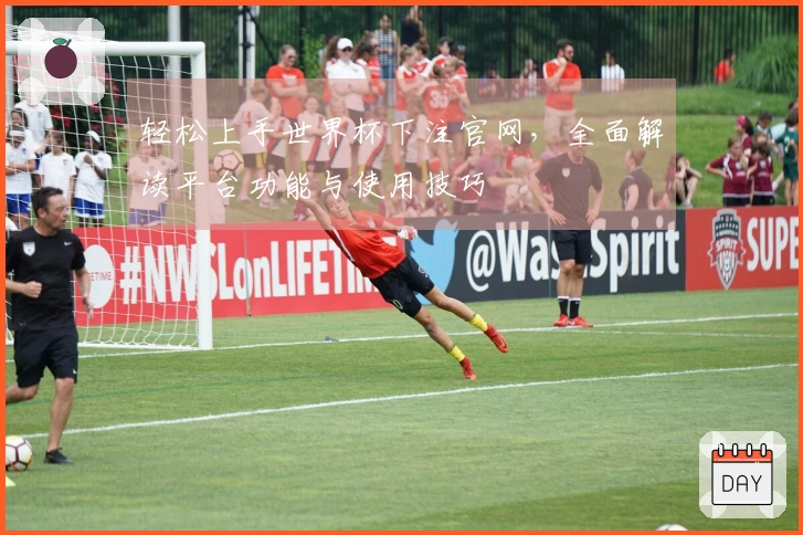轻松上手世界杯下注官网，全面解读平台功能与使用技巧