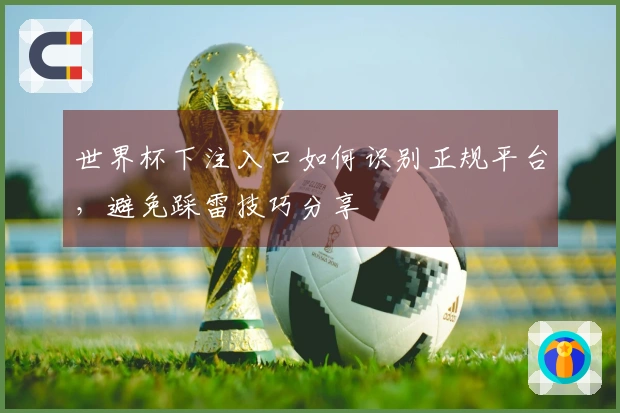 世界杯下注入口如何识别正规平台,避免踩雷技巧分享